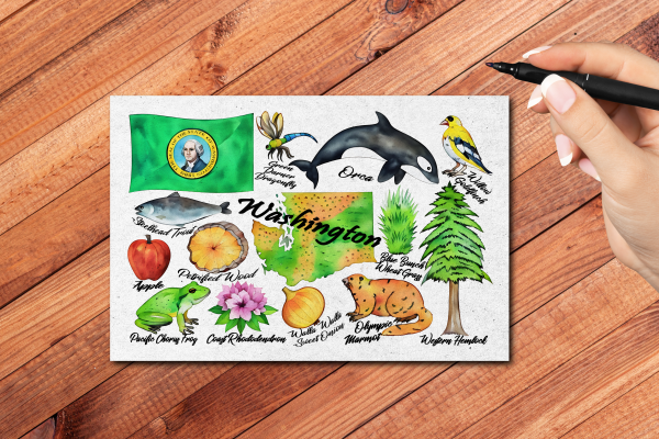 Washington State Postcard