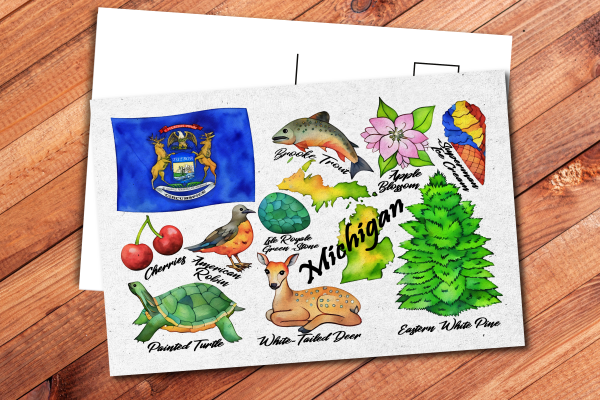 Michigan State Postcard