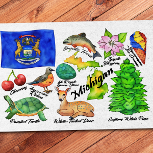 Michigan State Postcard