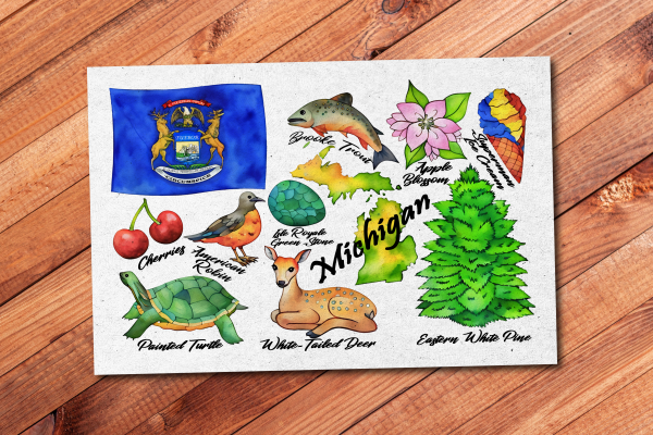 Michigan State Postcard