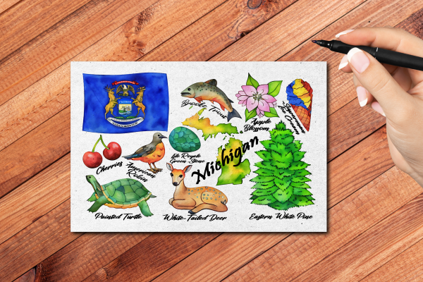 Michigan State Postcard