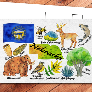Nebraska State Postcard