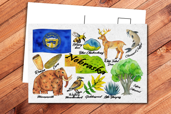 Nebraska State Postcard