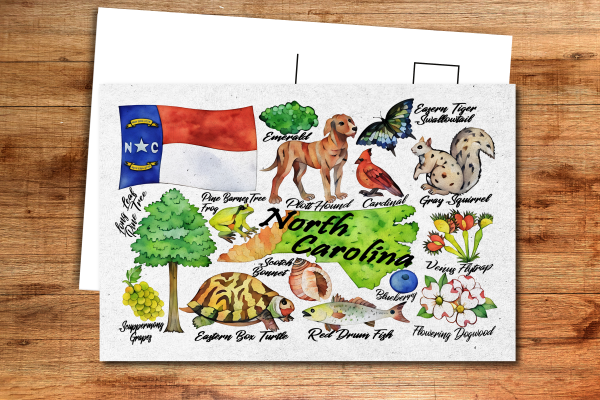 North Carolina State Postcard