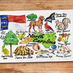 North Carolina State Postcard