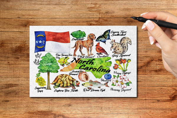 North Carolina State Postcard