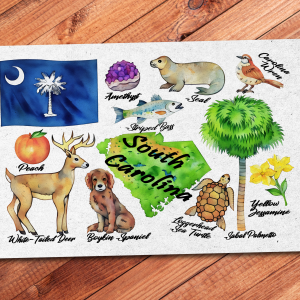 South Carolina State Postcard