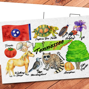 Tennessee State Postcard