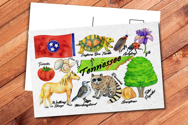 Tennessee State Postcard