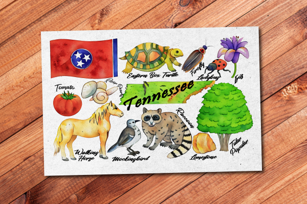Tennessee State Postcard