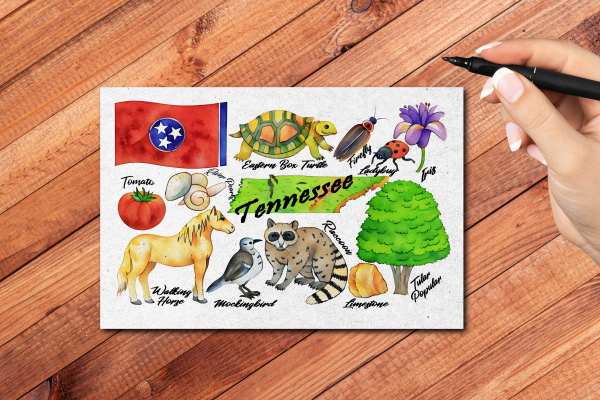 Tennessee State Postcard