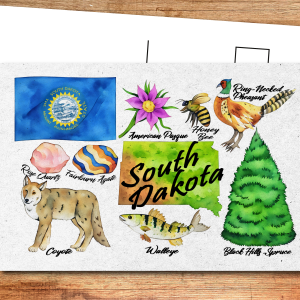 South Dakota State Postcard