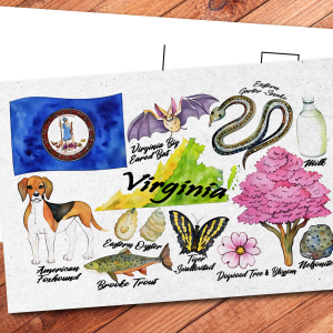 Virginia State Postcard
