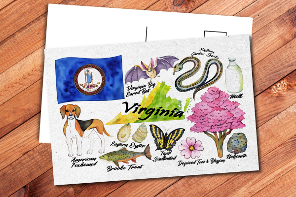 Virginia State Postcard