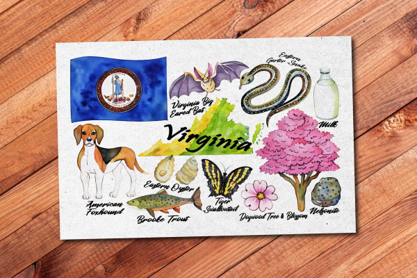 Virginia State Postcard