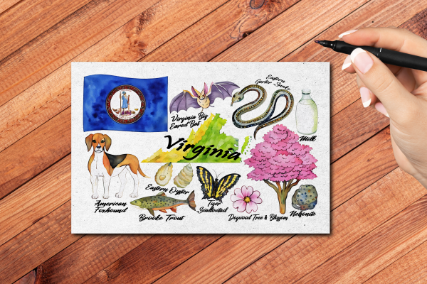 Virginia State Postcard