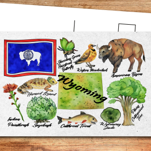 Wyoming State Postcard