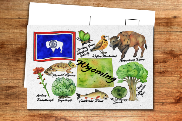 Wyoming State Postcard