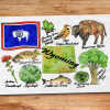 Wyoming State Postcard