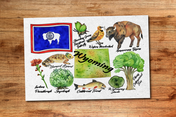 Wyoming State Postcard
