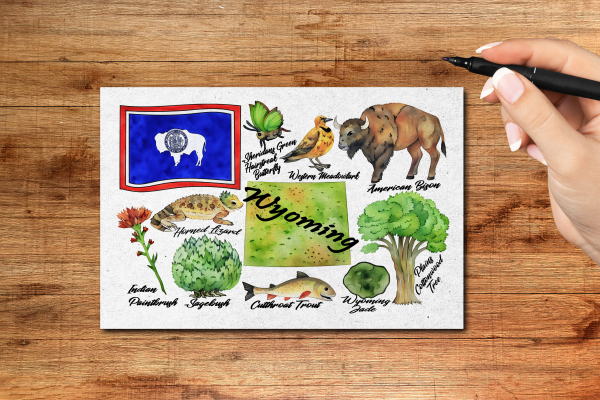 Wyoming State Postcard