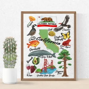 California State Art Print