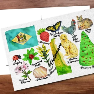 Delaware State Postcard