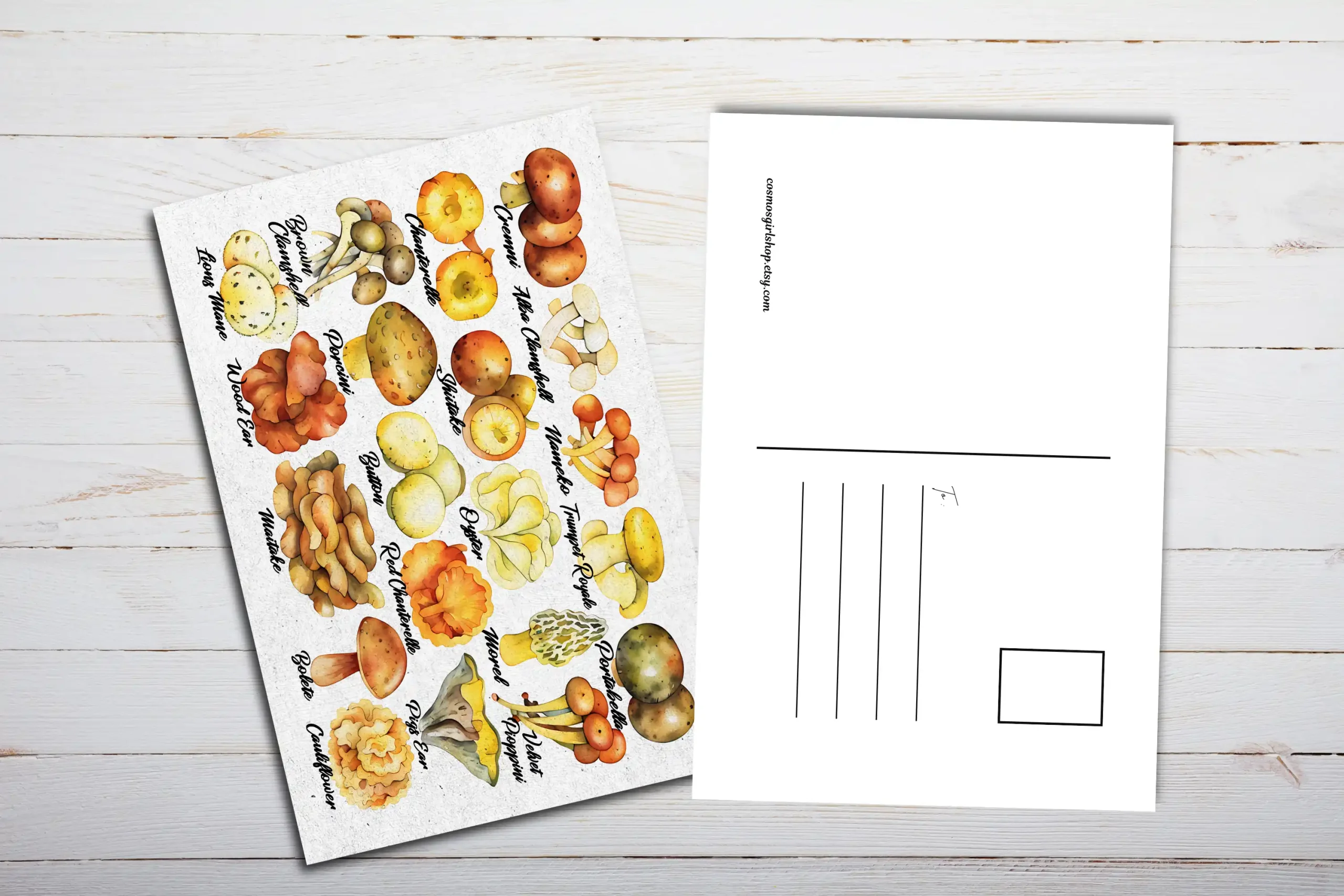 Edible Mushrooms Postcard