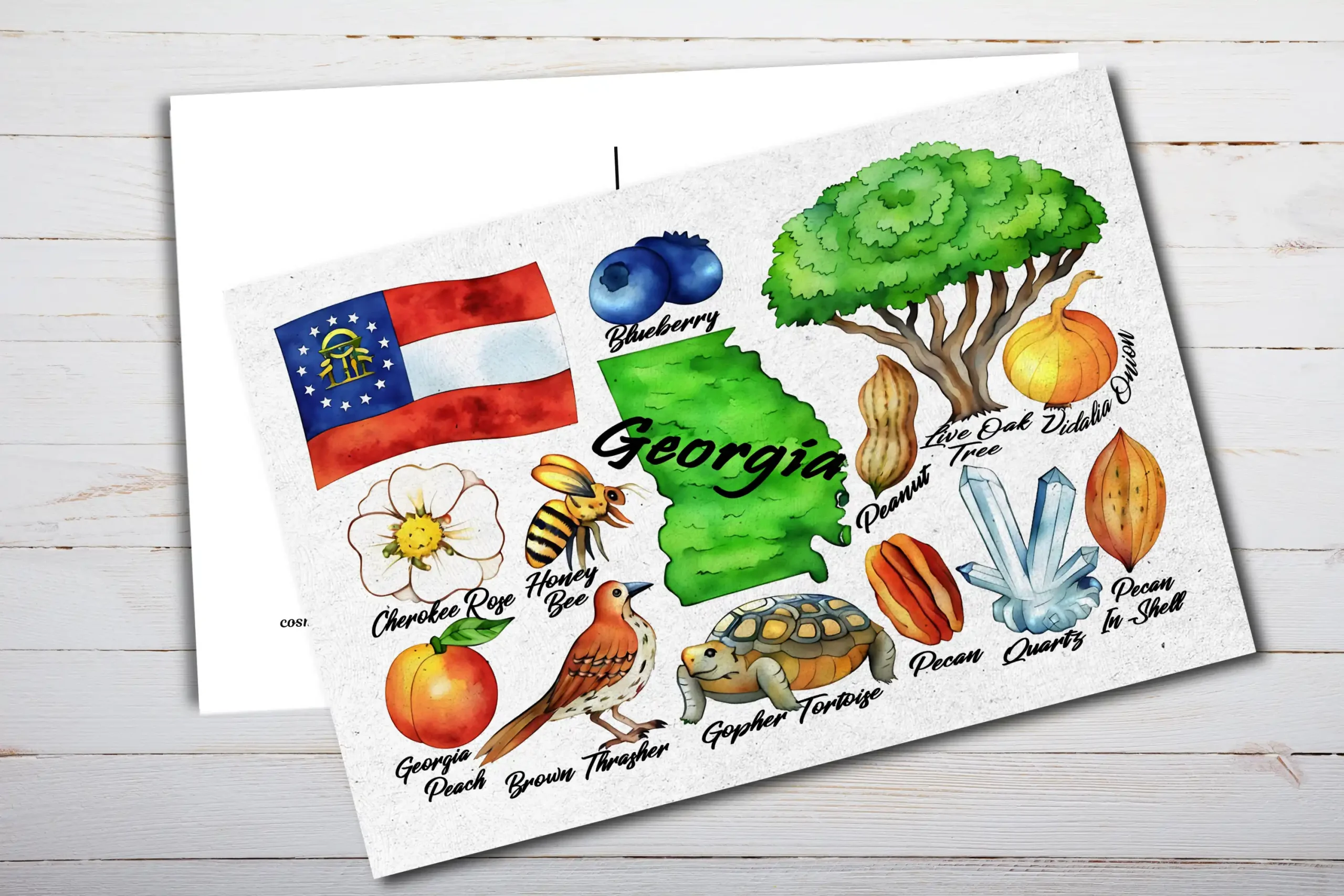 Georgia State Postcard