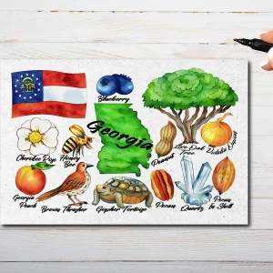 Georgia State Postcard