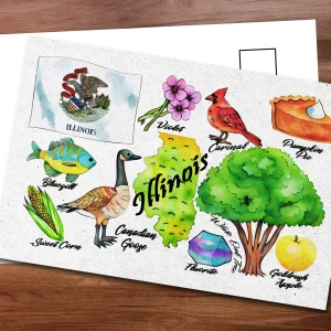 Illinois State Postcard