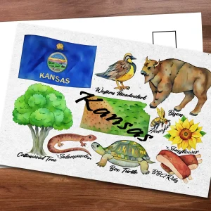 Kansas State Postcard