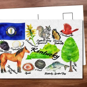 Kentucky State Postcard
