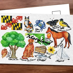 Maryland State Postcard