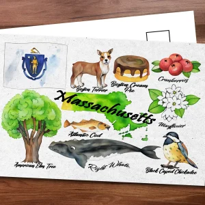 Massachusetts State Postcard
