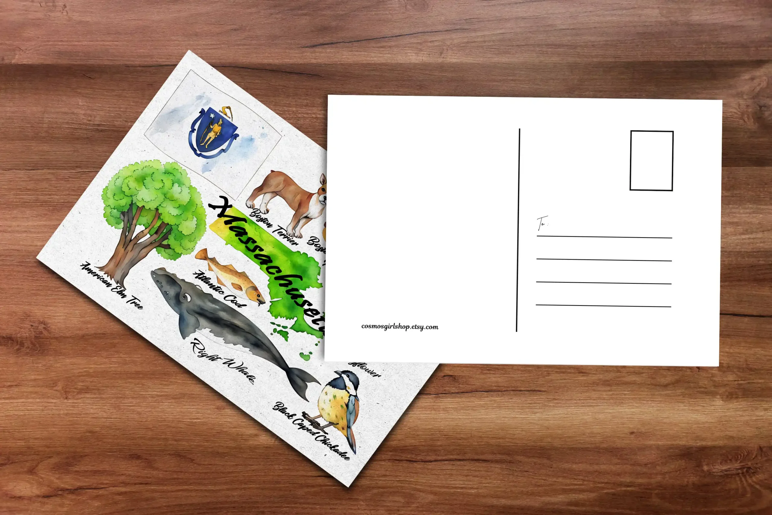 Massachusetts State Postcard Watercolor - Image 4