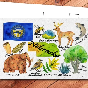 Nebraska State Postcard