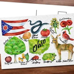 Ohio State Postcard