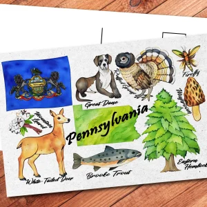 Pennsylvania State Postcard
