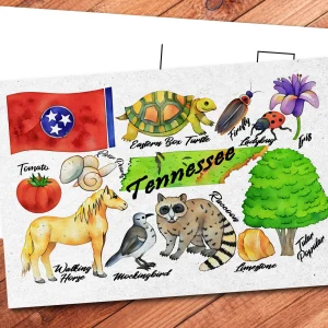 Tennessee State Postcard