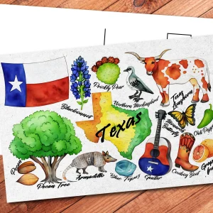 Texas State Postcard
