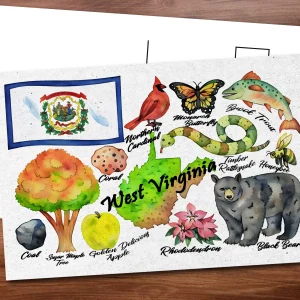 West Virginia State Postcard