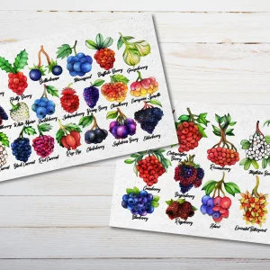 Wild Berries Postcards