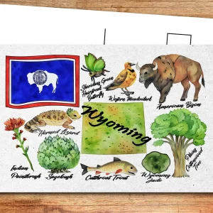 Wyoming State Postcard