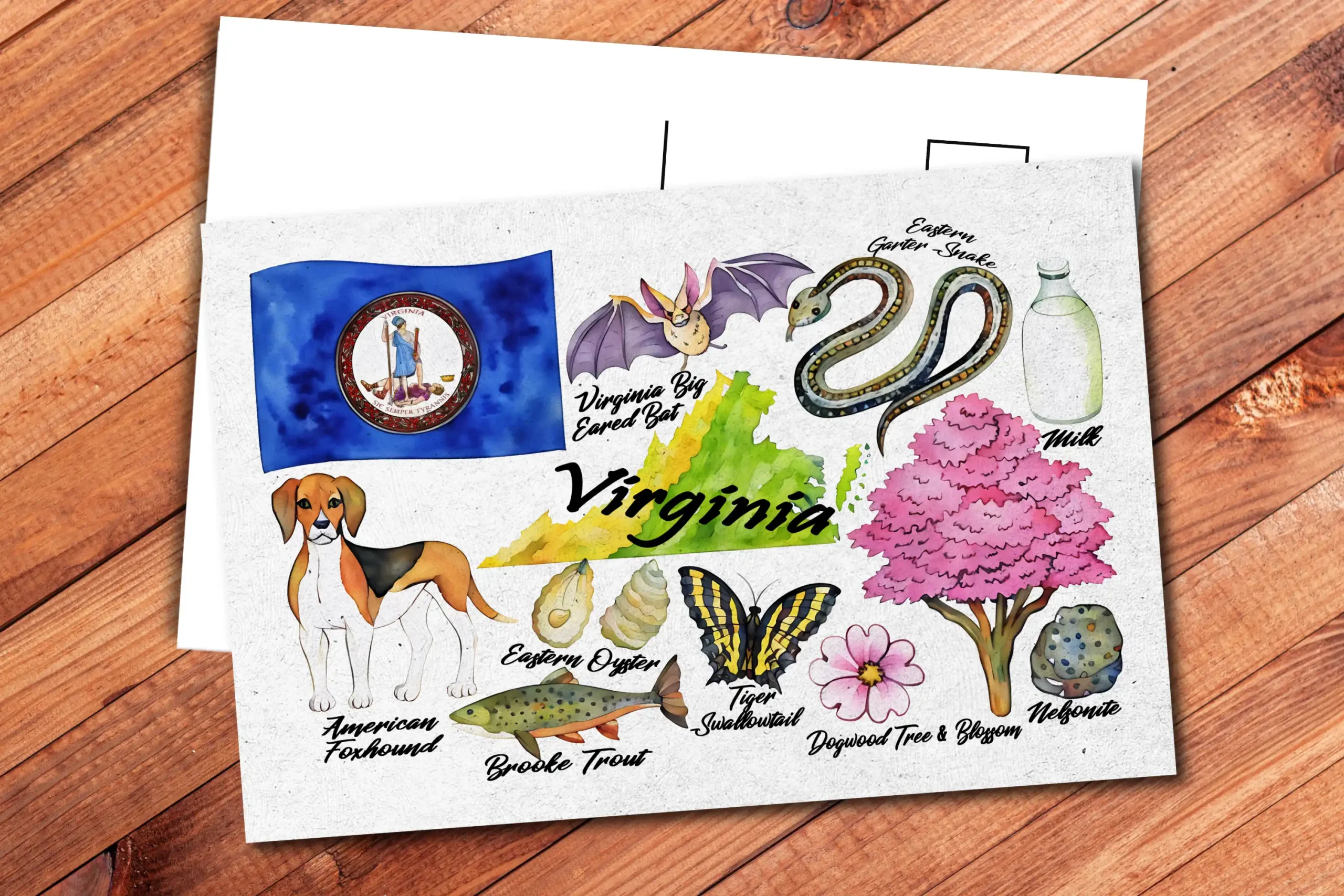 Virginia State Postcard