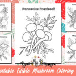 Edible Mushrooms Coloring Page Bundle