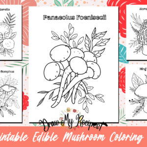 Edible Mushrooms Coloring Pages Bundle