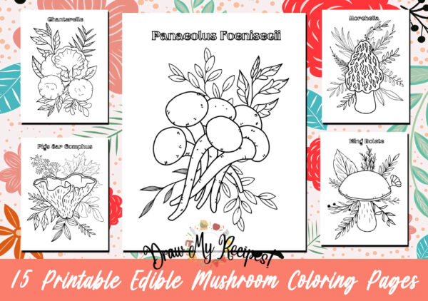 Edible Mushrooms Coloring Pages Bundle